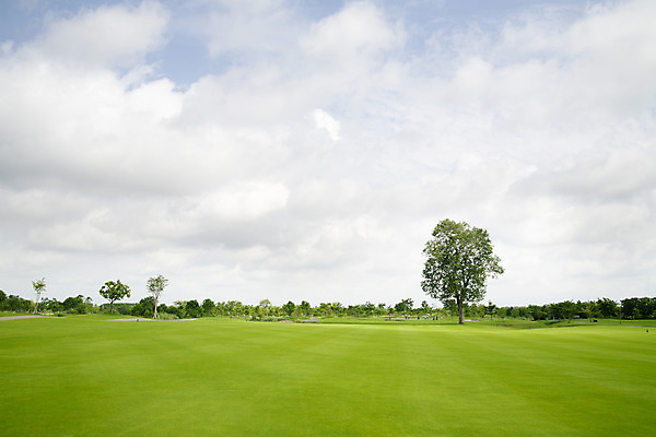 포토 JPG 해외이미지 나무 구름 계절 공원 스포츠 골프 골프장 자연 하늘 풍경 잔디 초원 사람없음 초록색 여름 태양 봄 숲 조경 해외202004 해외포토 자연요소 식물 공공시설 컬러 스포츠시설 구기 생태계 파일형식