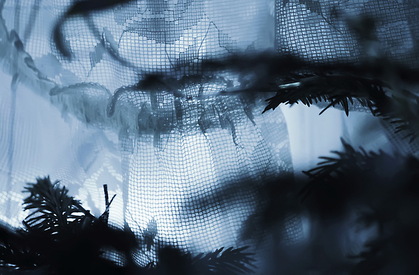 포토 JPG 해외이미지 식물 계절 공원 꽃 줄기 여행 백그라운드 겨울 밭 자연 벽지 날씨 건조 그림자 풍경 사람없음 야외 파란색 빛 뷰티 환경 냉동 얼음 추위 흰색 나뭇가지 눈송이 숲 크리스탈 묘사 서리 장면 내추럴 폭설 눈내림 해외202310 해외포토 자연요소 나무 공공시설 컬러 농업 눈_날씨 광석 자연재해 생태계 파일형식