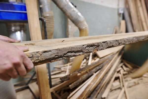 포토 JPG 해외이미지 직업 전통 산업 가구 노동자 기술 실내 관리 한명 사람 성인 목재 기계 장비 시골 업무 작업실 닫기 널 작음 목수 묘사 먼지 목공예 잡동사니 공예가 수목 조작 핸드메이드 해외202310 해외포토 나무 1 생활용품 재료 모션 내부 작업 크기 공예 파일형식