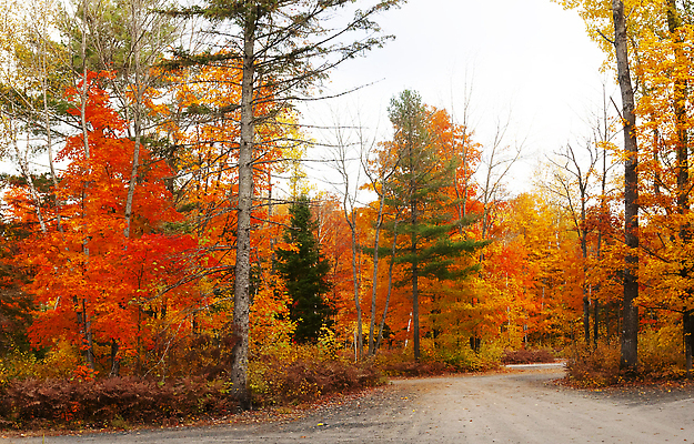 포토 JPG 해외이미지 여행 사람없음 여행객 가을 해외202310 해외포토 계절 사람 파일형식