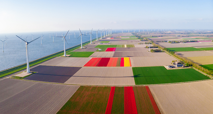 포토 JPG 해외이미지 산업 바다 밭 바람 안테나 해변 사람없음 초록색 파란색 농장 환경 힘 재활용 풍차 발전기 에너지 풍력에너지 네덜란드 에코 생태계 프로펠러 지구온난화 세대 유지 방앗간 항공촬영 드론 생태학 해외202310 해외포토 자연요소 교육 유럽 뷰포인트 컬러 농업 통신 날씨 발전소 그린에너지 친환경 기후변화 파일형식