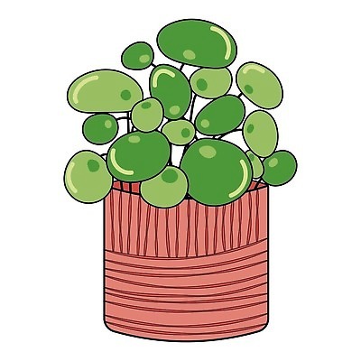 EPS 해외이미지 나무 식물 화초 일러스트 손바닥 장식 뷰티 환경 정원 신선 유기농 원예 내추럴 다육식물 해외202310 해외일러스트 손 웰빙 취미 파일형식 벡터