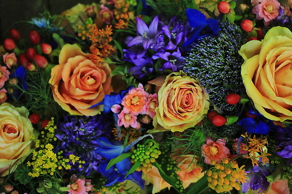 포토 JPG 해외이미지 꽃잎 꽃 분홍색 꽃다발 결혼 사람없음 파란색 장미 해외202310 해외포토 식물 컬러 이벤트 파일형식