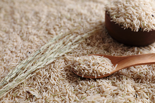 포토 JPG 해외이미지 식물 전통 음식 백그라운드 다이어트 재료 태국 자연 밥 건조 건강 요리 씨앗 사람없음 목재 갈색 우주 일본 식사 중국 흰색 시골 낟알 인도인 시리얼 밀 먹기 유기농 질감 날것 결 섬유 내추럴 논밭 생식 채식주의자 비건 해외202310 해외포토 외국인 나무 웰빙 아시아 컬러 무늬 밭 모션 곡류 논 동양인 직물 생태계 채식 파일형식