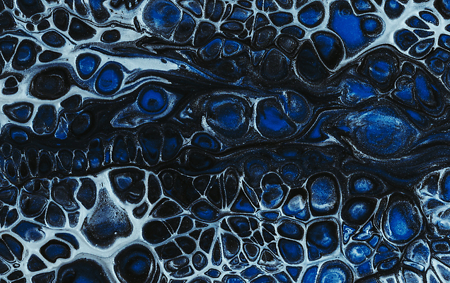 포토 JPG 해외이미지 기념일 포스터 결혼 백그라운드 일러스트 포장 벽지 사람없음 직물 신용카드 초대 스크랩북 해외202310 해외일러스트 이벤트 금융 파일형식