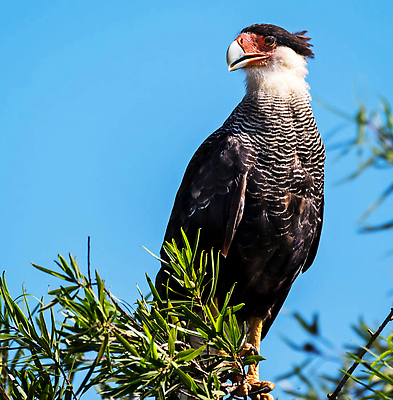 포토 JPG 해외이미지 여행 사람없음 여행객 아르헨티나 해외202310 해외포토 사람 남아메리카 파일형식