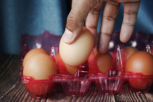 포토 JPG 해외이미지 손 탁자 사람없음 바구니 계란 변화 선택 준비 생물학 단백질 암탉 해외202310 해외포토 교육 가구 컨셉 신체부위 알 닭 암컷 영양소 파일형식