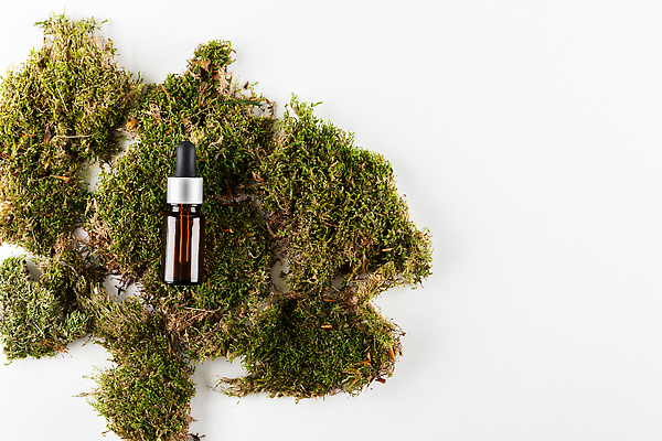 포토 JPG 해외이미지 라이프스타일 백그라운드 컨셉 자연 유리 건강 이끼 사람없음 목재 초록색 세트 뷰티 스파 목욕 화장품 재활용 바 액체 정상 크림 순수 에코 친환경 유기농 심플 비누 샴푸 유지 스펀지 낭비 내추럴 영 돌봄 바이오 해외202310 해외포토 나무 웰빙 컬러 재료 모션 재질 생활 위생용품 숫자 환경 청결 생태계 파일형식