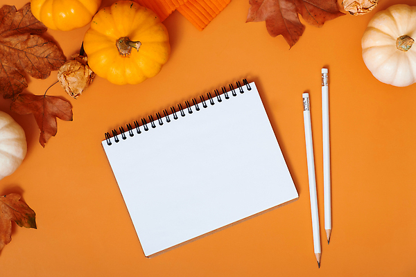 포토 JPG 해외이미지 식물 음식 백그라운드 오렌지 재료 자연 호박 추상 휴가 흑백 건강 사람없음 장식 컬러풀 공백 할로윈 수확 가을 신선 잡기 작음 9월 11월 스웨터 먹기 날것 추수감사절 10월 내추럴 숙성 플랫레이 미니멀 해외202310 해외포토 계절 기독교 컬러 상의 무늬 농업 채소 과일 모션 촬영기법 날짜 플랫 크기 생태계 파일형식