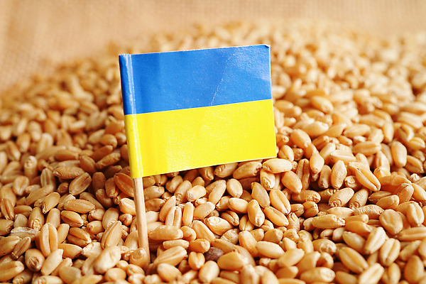 포토 JPG 해외이미지 식물 유럽 산업 음식 빵 컨셉 지폐 돈 밭 농업 비즈니스 교통시설 자연 씨앗 사람없음 초록색 여름 금융 경제 농작물 세계 농장 수확 깃발 황금 낟알 가격 시리얼 밀 기아 배고픔 무역 전쟁 투자 러시아 밀가루 루블 밭일 수입 우크라이나 위기 해외202310 해외포토 계절 나라 컬러 교통 곡류 재산 가루 사회이슈 시설 생태계 파일형식