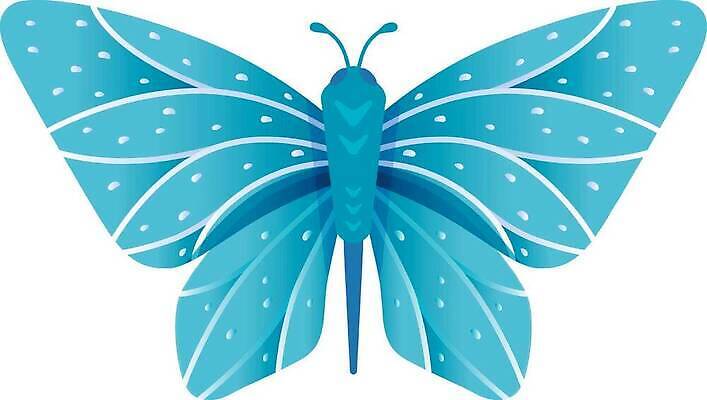 EPS 해외이미지 동물 디자인 야생동물 나비 곤충 백그라운드 패턴 일러스트 자연 생물 그래픽 장식 파란색 컬러풀 뷰티 유행 봄 놀이방 꿈 낭만 흰색 점 신용카드 플랫 벌레 심볼 나방 강렬 고립 동물상 이국적 취급주의 벡터 해외202310 해외일러스트 계절 컬러 컨셉 무늬 경고 금융 조형물 생태계 파일형식