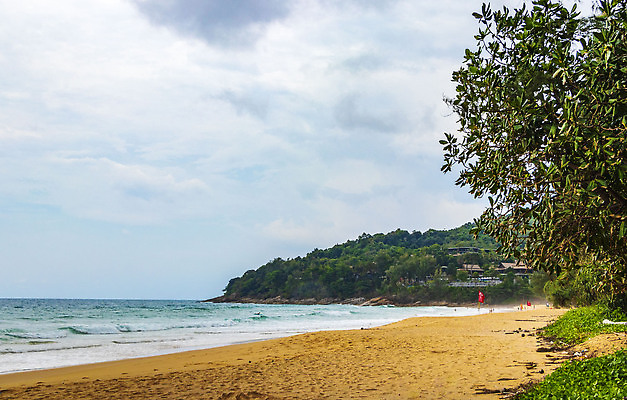 포토 JPG 해외이미지 나무 아시아 모래 파도 바다 섬 여행 태국 자연 하늘 휴가 휴식 손바닥 동양인 풍경 해변 사람없음 야외 물 여름 파란색 야자수 뷰티 맑음 동남아시아 만 숲 2018년 터키석 파라다이스 푸켓 해외202310 해외포토 자연요소 식물 손 계절 나라 컬러 컨셉 날씨 인종 보석 연도 생태계 파일형식