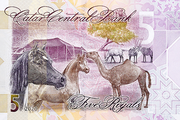 포토 JPG 해외이미지 식물 전통 지폐 돈 비즈니스 텐트 사람없음 금융 사막 장면 카타르 동물상 해외202310 해외포토 중동 캠핑도구 경제 조형물 재산 파일형식