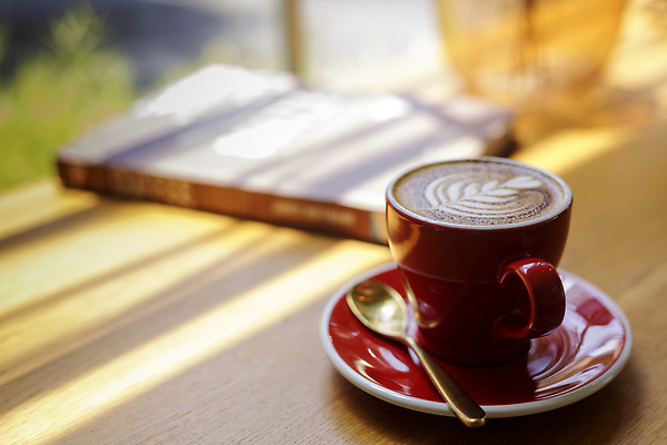 포토 JPG 해외이미지 라이프스타일 디자인 커피 음료 음식 백그라운드 비즈니스 탁자 아침 미술 사람없음 내부 목재 컵 갈색 상점 식당 초콜릿 숟가락 검은색 거품 카페 우유 머그컵 신선 뜨거움 액체 닫기 맛 아침식사 컵받침 크림 질감 아로마 카푸치노 에스프레소 단절 라떼 모카 블러 인기 카페인 맛있는 해외202310 해외포토 주간 나무 식기 컬러 가구 컨셉 재료 모션 문화예술 디저트 유제품 수저 생활 식사 받침대 파일형식