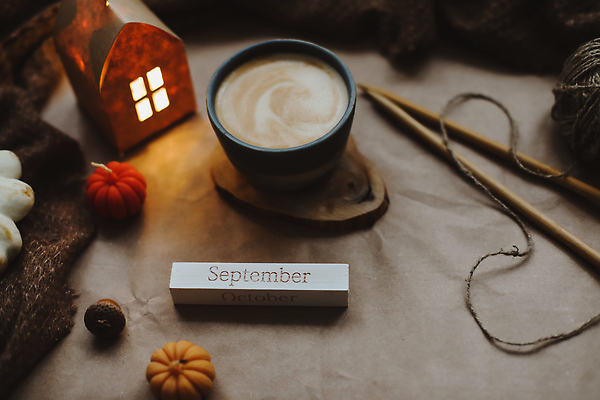 포토 JPG 해외이미지 전통 디자인 계절 커피 컨셉 잎 오렌지 탁자 호박 휴가 휴식 주택 따뜻함 사람없음 내부 장식 컵 노란색 축제 침묵 방 견과류 가을 시골 축하 직물 인사 신용카드 뜨개질 9월 배열 추수감사절 10월 내추럴 구성 정물화 플랫레이 해외202310 해외포토 식물 식기 기독교 음료 컬러 가구 채소 과일 취미 건물 금융 소리 예절 날짜 플랫 그림 파일형식