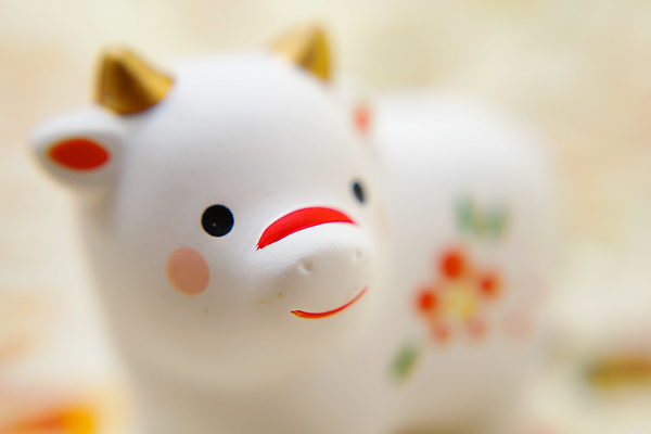 포토 JPG 해외이미지 모델 인형 새해 사람없음 숫자 미니어처 인사 소 냄비 천 심플 올가미 1월 해외202310 해외포토 문자 포유류 모형 직물 예절 날짜 솥 파일형식