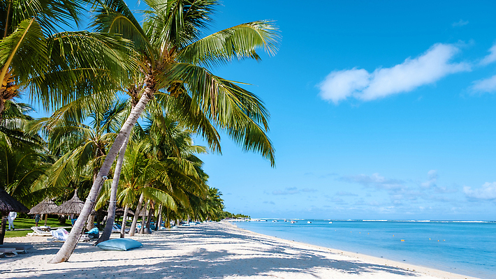 포토 JPG 해외이미지 나무 모래 바다 섬 여행 백그라운드 의자 우산 아프리카 자연 휴가 휴식 열대 산 파노라마 손바닥 풍경 사람없음 여름 파란색 맑음 전원 침대 만 고급 휴양지 선베드 코코넛 석호 내추럴 모리셔스 이국적 터키석 파라다이스 해외202310 해외포토 식물 손 계절 나라 컬러 가구 컨셉 과일 날씨 촬영기법 장소 전기에너지 보석 생태계 파일형식