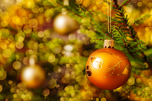 포토 JPG 해외이미지 나무 디자인 계절 백그라운드 크리스마스 겨울 휴가 불꽃 전등 조명 새해 사람없음 장식 초록색 빛 반짝임 크리스마스트리 축제 활발 나뭇가지 축하 눈송이 황금 소프트포커스 연도 보케 문학 빛망울 노엘 블러 정물화 해외202310 해외포토 식물 기념일 컬러 컨셉 모션 불 눈_날씨 촬영기법 그림 파일형식