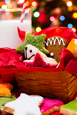 포토 JPG 해외이미지 모양 별 음식 분홍색 크리스마스 유리 휴가 디저트 양말 사탕 사람없음 장식 빨간색 초록색 크리스마스트리 갈색 바구니 쿠키 얼음 우유 흰색 달콤 섬유 상록수 침엽수 밀짚 짜임 페스츄리 핸드메이드 해외202310 해외포토 자연요소 나무 기념일 빵 컬러 재질 유제품 직물 맛 짚 파일형식