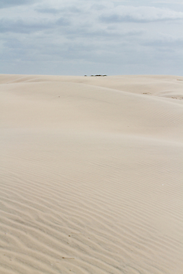 포토 JPG 해외이미지 모래 섬 겨울 자연 하늘 휴가 풍경 사람없음 여행객 미국 천 모래언덕 언덕 지형 텍사스 해외202310 해외포토 계절 북아메리카 사람 직물 생태계 파일형식