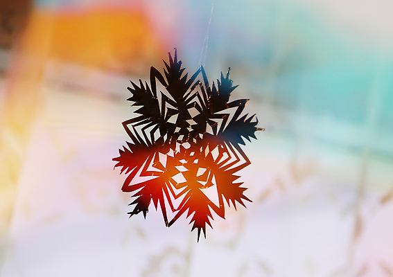 포토 JPG 해외이미지 모양 손 디자인 계절 여자 종이 컬러 백그라운드 컨셉 크리스마스 겨울 패턴 추상 휴가 새로움 아이디어 미술 사람없음 목재 장식 뷰티 축제 회색 흰색 축하 인사 신용카드 눈송이 그룹 12월 자르기 연도 심볼 복고 엘리먼트 핸드메이드 많음 해외202310 해외포토 나무 기념일 무늬 재료 모션 문화예술 눈_날씨 사람 신체부위 금융 예절 날짜 파일형식