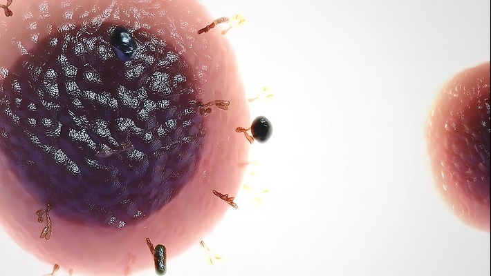 포토 JPG 해외이미지 분홍색 과학 컨셉 세포 건강 현미경 사람 사람없음 빨간색 청춘 태양 뷰티 3D 손상 조직 질병 플라스틱 피부 크림 피부관리 스킨케어 반전 외과 알레르기 돌봄 면역력 옛날 유전 노화 해외202310 해외포토 자연요소 컬러 의학 모션 재질 병원 실험기구 신체부위 디지털합성 파일형식