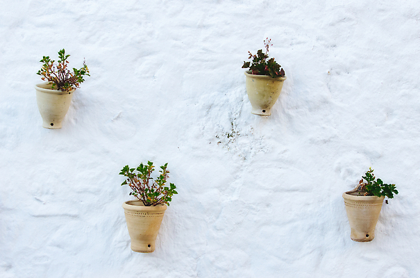 포토 JPG 해외이미지 식물 전통 디자인 외관 꽃 문화 지구 벽 컬러 백그라운드 추상 주택 실내 따뜻함 매달리기 미술 사람없음 야외 내부 장식 컬러풀 갈색 마을 정원 수확 흰색 시골 도자기 그리기 냄비 지중해 원예 복고 점토 업그레이드 줄서기 스타일 해외202310 해외포토 바다 무늬 농업 모션 문화예술 취미 건물 솥 파일형식