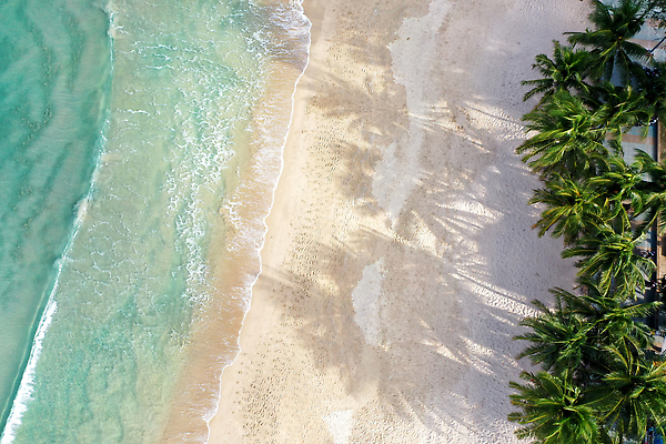 포토 JPG 해외이미지 나무 모래 바다 섬 여행 백그라운드 태국 자연 벽지 휴가 휴식 안테나 손바닥 그림자 한명 풍경 해변 사람없음 야외 초록색 물 여름 뷰티 낭만 자유 흰색 만 정상 즐거움 코코넛 석호 내추럴 항공촬영 넘어짐 드론 파라다이스 카피스페이스 해외202310 해외포토 자연요소 식물 1 손 계절 감정 아시아 뷰포인트 컬러 컨셉 과일 통신 모션 사람 공백 생태계 파일형식