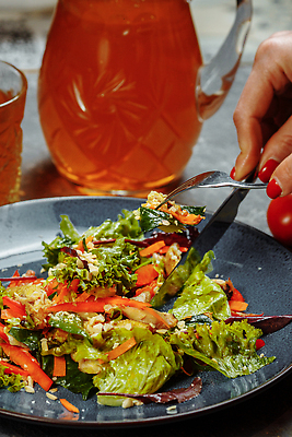 포토 JPG 해외이미지 접시 음식 빵 백그라운드 잎 다이어트 토마토 채소 부분 양파 오이 건강 육류 요리 사람없음 초록색 식사 저녁식사 치킨 샐러드 흰색 신선 고명 그릴 정상 상추 바비큐 가슴 굽기 허브 향신료 유기농 후추 아보카도 건강식 점심식사 마살라 핸드메이드 맛있는 해외202310 해외포토 식물 식기 웰빙 컬러 과일 식재료 주방용품 신체부위 구이 닭고기요리 향미료 파일형식