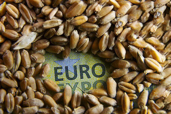 포토 JPG 해외이미지 1 유럽 음식 빵 컨셉 지폐 돈 농업 재료 건조 건강 씨앗 사람없음 금융 노란색 유로 수확 껍질 시골 농부 낟알 가격 두루마리 시리얼 밀 유기농 날것 지역 승진 흙더미 계산서 수입 숙성 작살 호밀 더스트파티클 해외202310 해외포토 식물 직업 웰빙 나라 산업 컬러 곡류 경제 흙 재산 파일형식 더미