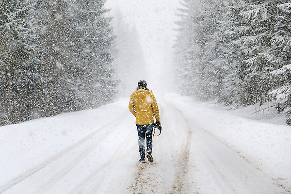 포토 JPG 해외이미지 나무 1 라이프스타일 계절 유럽 도로 여행 겨울 가방 자연 휴가 산 한명 사람 풍경 취미 야외 빛 노란색 여행객 걷기 카메라 환경 장비 추위 흰색 고속도로 숲 사진사 서리 눈보라 폴란드 루트 가문비나무 해외202310 해외포토 식물 잡화 나라 길 컬러 교통시설 모션 눈_날씨 생활 전자제품 작가 생태계 파일형식