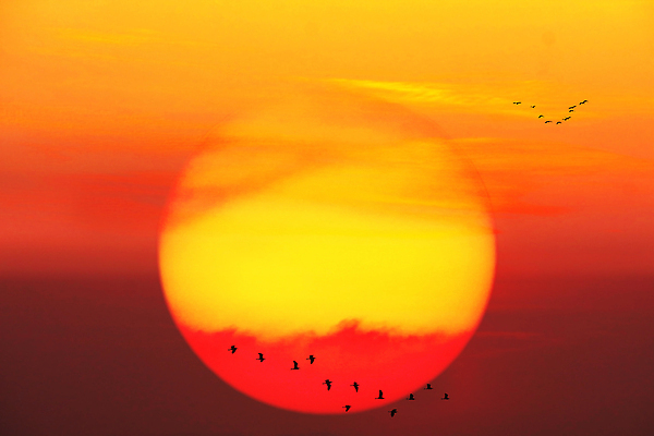 포토 JPG 해외이미지 구름 계절 실루엣 야생동물 바다 여행 백그라운드 컨셉 날개 오렌지 가족 모션 자연 조류 하늘 주택 함께함 따뜻함 안테나 풍경 사람없음 빨간색 물 여름 빛 햇빛 태양 뷰티 노란색 평화 일출 일몰 자유 가을 그룹 황금 야간 저녁 천국 바둑 내추럴 넘어짐 수평선 해외202310 해외포토 자연요소 동물 컬러 과일 통신 관계 놀이 촬영기법 건물 노을 생태계 파일형식