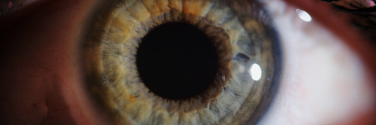 포토 JPG 해외이미지 학생 응시 여자 컬러 과학 컨셉 공 건강 한명 사람 치료 초록색 뷰티 약 반사 오픈 닫기 무서움 눈동자 순수 검색 질감 시력 비전 붓꽃 시력검사 내추럴 돌봄 스파이 광학 해외202310 해외포토 1 시선 꽃 감정 의학 모션 눈_신체부위 검사_조사 파일형식