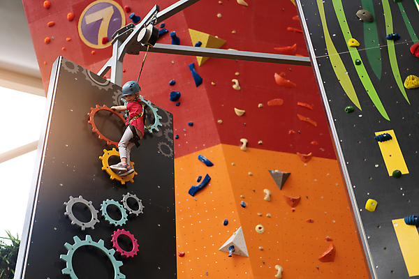 포토 JPG 해외이미지 전신 무료이미지 여자 어린이 밧줄 벽 스포츠 실내 한명 취미 뒷모습 운동 안전장비 체육관 오르기 암벽등반 인공암벽등반 클라이밍 소녀한명만 해외202310 해외포토 1 줄 뷰포인트 모션 건강 안전 사람 내부 등산 등반 장비 여자한명만 소녀만 파일형식 무료콘텐츠