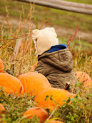 포토 JPG 해외이미지 모자 여자 어린이 음식 밭 농업 채소 오렌지 과일 자연 호박 날씨 주택 사람 소녀 사람없음 청춘 농장 미국 추위 가을 유기농 스쿼시 콜로라도 해외202310 해외포토 웰빙 잡화 계절 산업 스포츠 컨셉 북아메리카 건물 구기 생태계 파일형식