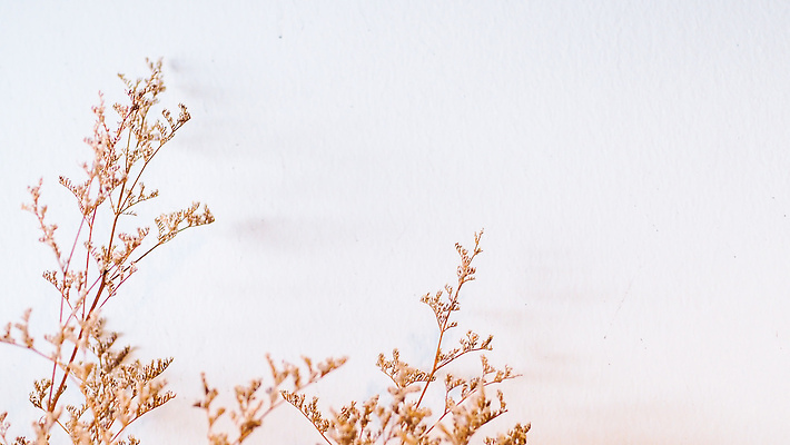 포토 JPG 해외이미지 식물 디자인 계절 꽃 줄기 컬러 꽃다발 백그라운드 컨셉 잎 꽃무늬 밭 자연 탁자 주택 건조 미술 사람없음 내부 장식 초록색 뷰티 갈색 노란색 정원 꽃병 수확 벚꽃 가을 흰색 시골 냄비 낟알 밀 다발 유기농 질감 내추럴 옛날 스타일 해외202310 해외포토 웰빙 가구 무늬 농업 문화예술 곡류 건물 솥 생태계 파일형식