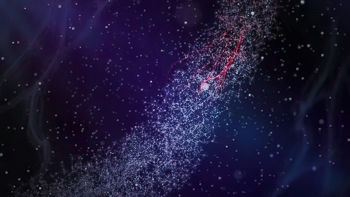 포토 JPG 해외이미지 모양 과학 신체 해부 세포 기술 건강 사람 사람없음 컬러풀 머리 3D 스크린 힘 외계인 오르간 코드 생명공학 불안 척추 뇌 생물학 신호 회전 시스템 공학 바이오 지능 해골모형 핵심 더스트파티클 셀룰러 해외202310 해외포토 교육 감정 컬러 의학 뼈 신체부위 모형 미확인물체 건반악기 디지털합성 파일형식