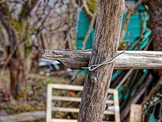 포토 JPG 해외이미지 나무 식물 계절 공원 열매 벽 백그라운드 잎 패턴 자연 벽지 포도 추상 프레임 사람없음 야외 목재 장식 빨간색 초록색 울타리 컬러풀 뷰티 갈색 환경 와인 정원 봄 성장 나뭇가지 거친 숲 질감 포도밭 포도나무 밀짚 내추럴 옛날 스타일 해외202310 해외포토 공공시설 컬러 무늬 밭 과일 재료 주류 담장 짚 과일나무 생태계 파일형식