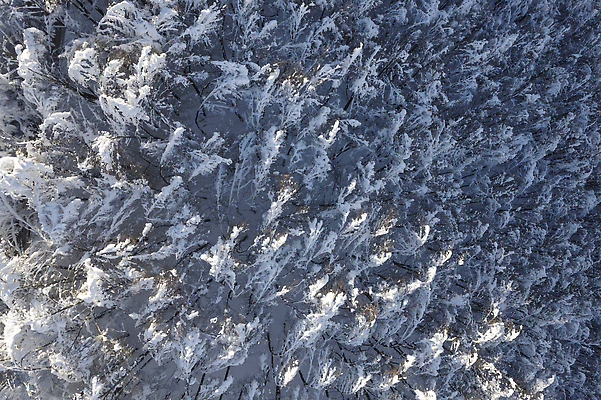 포토 JPG 해외이미지 나무 계절 여행 백그라운드 겨울 날씨 산 안테나 풍경 사람없음 야외 냉동 얼음 추위 흰색 시골 숲 서리 내추럴 삼림지대 해외202310 해외포토 자연요소 식물 컬러 통신 파일형식