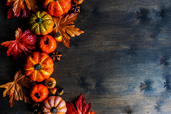 포토 JPG 해외이미지 계절 백그라운드 단풍 잎 호박 양파 휴가 프레임 사람없음 목재 컬러풀 노란색 축제 수확 가을 신용카드 추수감사절 거짓 플랫레이 해외202310 해외포토 나무 식물 기독교 컬러 농업 채소 재료 금융 플랫 파일형식