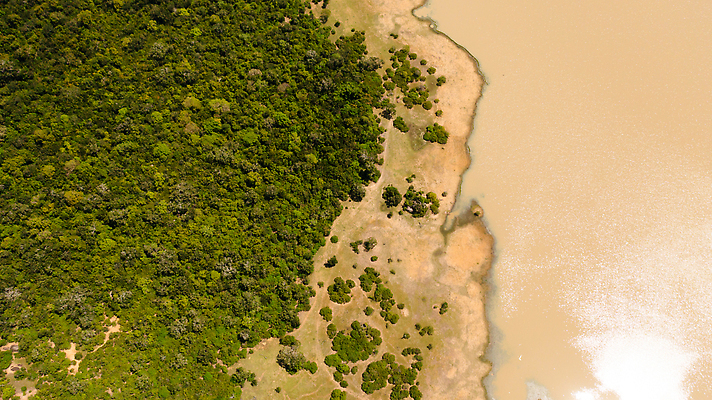 포토 JPG 해외이미지 나무 동물 공원 아시아 호수 야생동물 여행 잎 날개 자연 하늘 풍경 사람없음 야외 물 하이앵글 뷰티 환경 저수지 황무지 보호 습지 숲 열대우림 왜가리 사파리 항공촬영 동물상 보호구역 사바나 스리랑카 조감도 해외202310 해외포토 자연요소 식물 공공시설 나라 뷰포인트 컨셉 조류 조형물 생태계 구역 파일형식