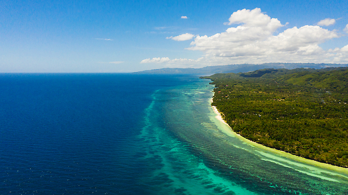 포토 JPG 해외이미지 나무 아시아 모래 바다 섬 여행 자연 휴가 휴식 손바닥 풍경 해변 사람없음 야외 물 여름 모래사장 맑음 만 휴양지 암초 석호 항공촬영 이국적 조감도 터키석 해외202310 해외포토 자연요소 식물 손 계절 나라 뷰포인트 컨셉 날씨 장소 보석 생태계 파일형식