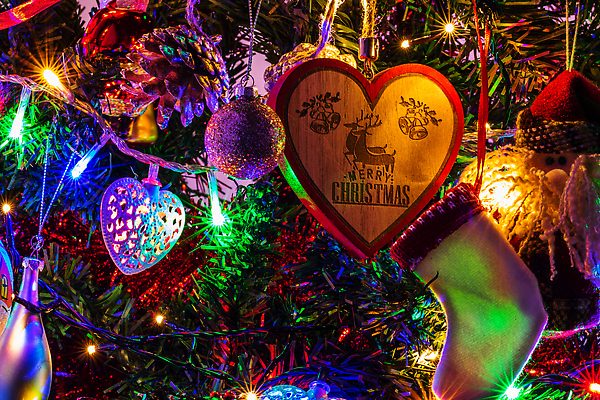 포토 JPG 해외이미지 나무 계절 리본 백그라운드 크리스마스장식 크리스마스 겨울 유리 휴가 선물 사람없음 장식 빨간색 초록색 축제 흰색 나뭇가지 축하 소나무 12월 심볼 보케 침엽수 원뿔 고립 벡터 카피스페이스 크리스마스배경 해외202310 해외포토 도형 식물 기념일 컬러 컨셉 재질 공백 날짜 파일형식