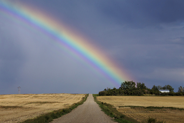 포토 JPG 해외이미지 컬러 무지개 캐나다 밭 자연 하늘 날씨 사람없음 물방울 가뭄 뇌우 평야 해외202310 해외포토 자연요소 북아메리카 농업 생태계 파일형식