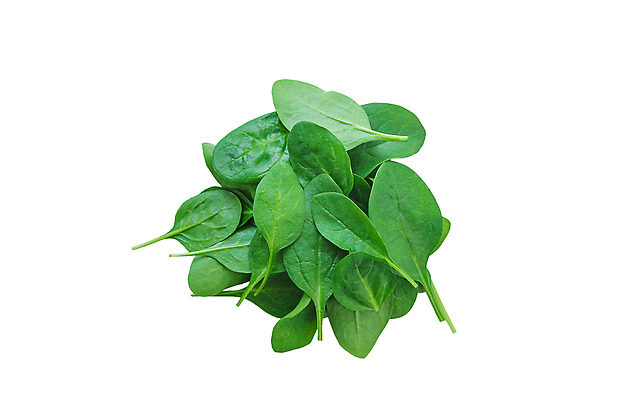 포토 JPG 해외이미지 식물 라이프스타일 배너 음식 컬러 백그라운드 잎 농업 다이어트 채소 재료 건강 요리 사람없음 초록색 물 쌓기 샐러드 로켓 흰색 아기 신선 고명 플랫 맛 상품 상추 먹기 오브젝트 유기농 날것 시금치 비타민 흙더미 내추럴 고립 채식주의자 카피스페이스 맛있는 해외202310 해외포토 자연요소 웰빙 산업 컨셉 모션 사람 생활 흙 공백 채식 영양소 파일형식 더미