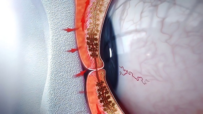 포토 JPG 해외이미지 과학 컨셉 인터넷 비즈니스 통신 추상 기술 안전 사람 그래픽 파란색 컴퓨터 디지털 스크린 자료 보호 연결 사이버 스마트 보안 전자 비전 센서 스캔 이진법 인터페이스 가상 해외202310 해외포토 컬러 무늬 전자제품 수학 파일형식