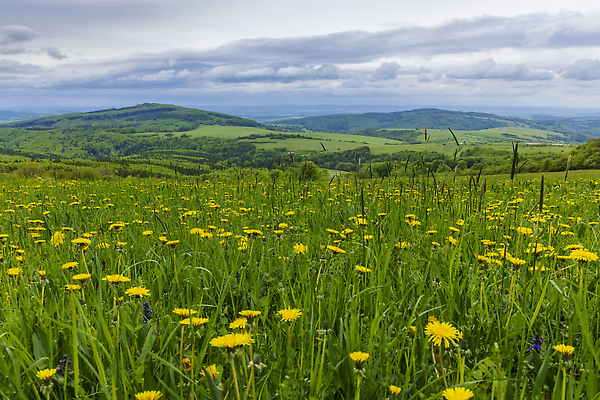 포토 JPG 해외이미지 백그라운드 포유류 자연 하늘 산 풍경 사람없음 초록색 뷰티 농장 농경지 환경 봄 흰색 시골 숲 방목 땅 언덕 체코 내추럴 공화국 밭일 모라비아 해외202310 해외포토 동물 계절 유럽 나라 컬러 농업 축산업 생태계 파일형식