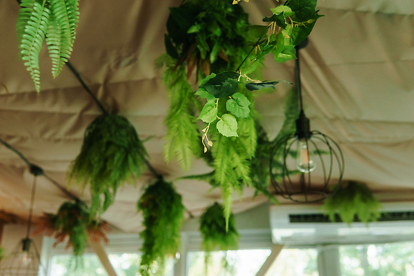 포토 JPG 해외이미지 식물 웰빙 디자인 꽃 컨셉 잎 자연 주택 실내 매달리기 건강 종류 사람없음 내부 장식 초록색 정원 카페 방 성장 신선 도시 천장 에코 유기농 원예 조경 유지 온실 이국적 그리너리 해외202310 해외포토 컬러 모션 취미 건물 환경 상점 생태계 파일형식 트랜드컬러