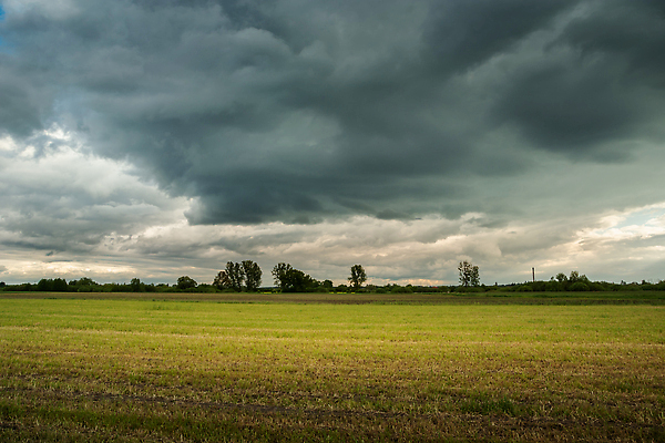 포토 JPG 해외이미지 구름 계절 백그라운드 밭 농업 자연 벽지 하늘 날씨 풍경 사람없음 야외 초록색 여름 농작물 농장 농경지 노란색 환경 어둠 회색 물방울 시골 땅 아래 폭풍 흐림 넘어짐 뇌우 밭일 폭풍우 수평선 해외202310 해외포토 자연요소 산업 컬러 모션 비_날씨 자연재해 방향 생태계 위치 파일형식