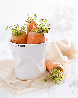 포토 JPG 해외이미지 무료이미지 사람없음 당근 담기 해외202310 해외포토 모션 뿌리채소 파일형식